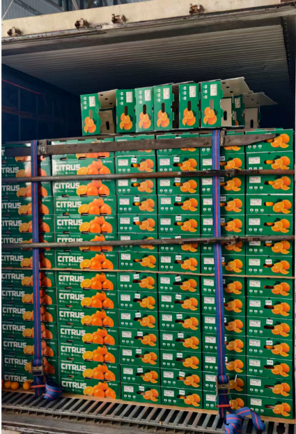 Pallets of green citrus boxes loaded in a shipping container